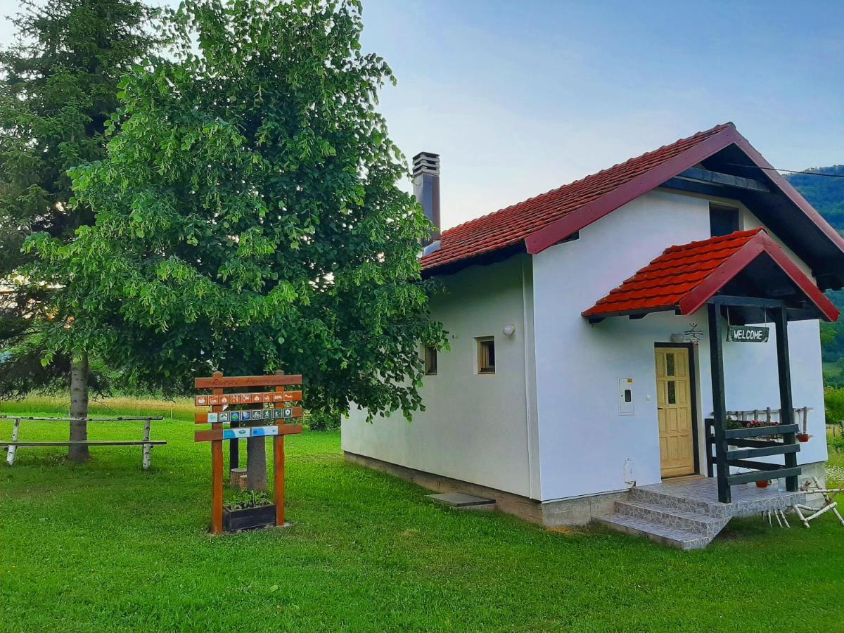 Kosta's guest house Plav Extérieur photo