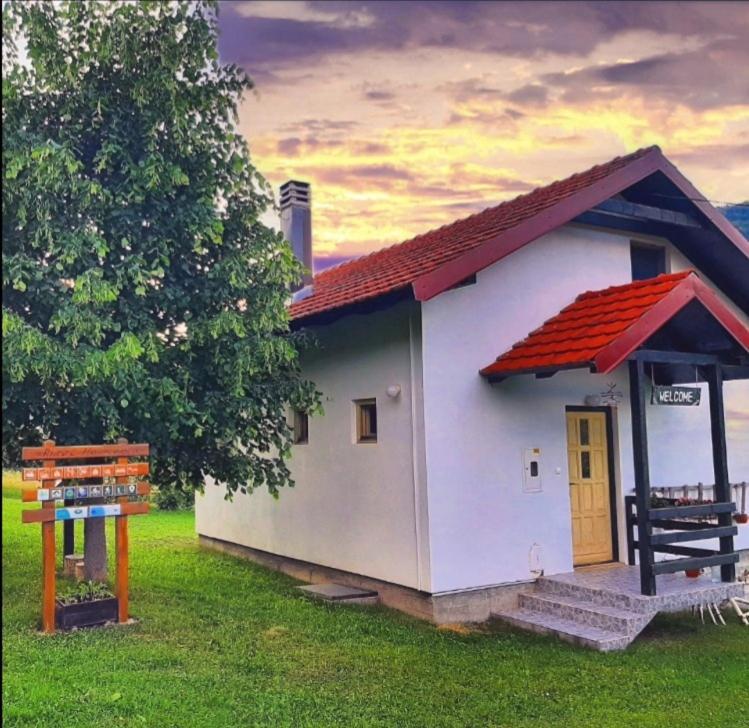 Kosta's guest house Plav Extérieur photo