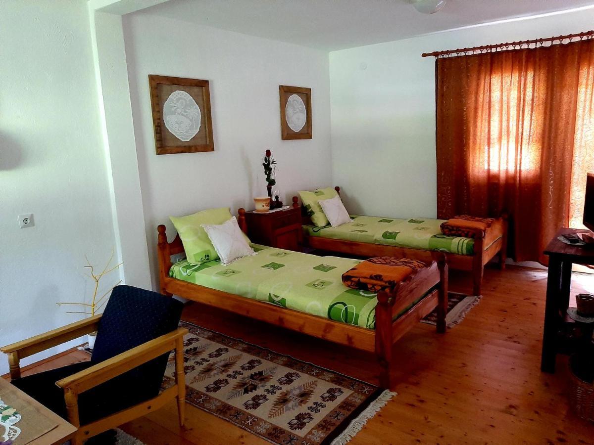 Kosta's guest house Plav Extérieur photo