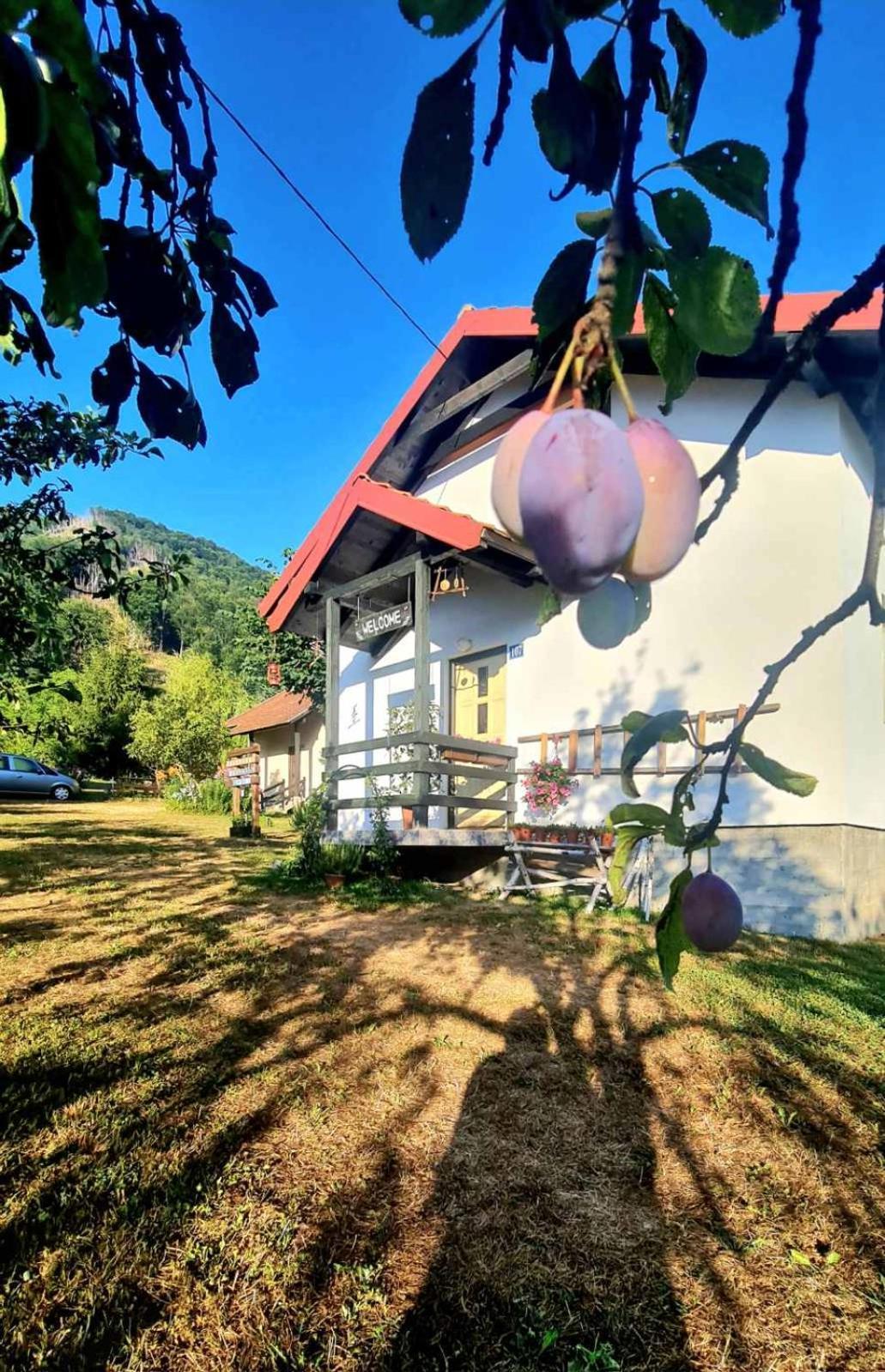 Kosta's guest house Plav Extérieur photo